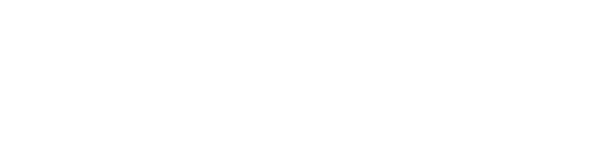 Customer Strategist